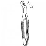 Extracting Forceps #88R